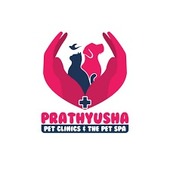 Partner Research Institute